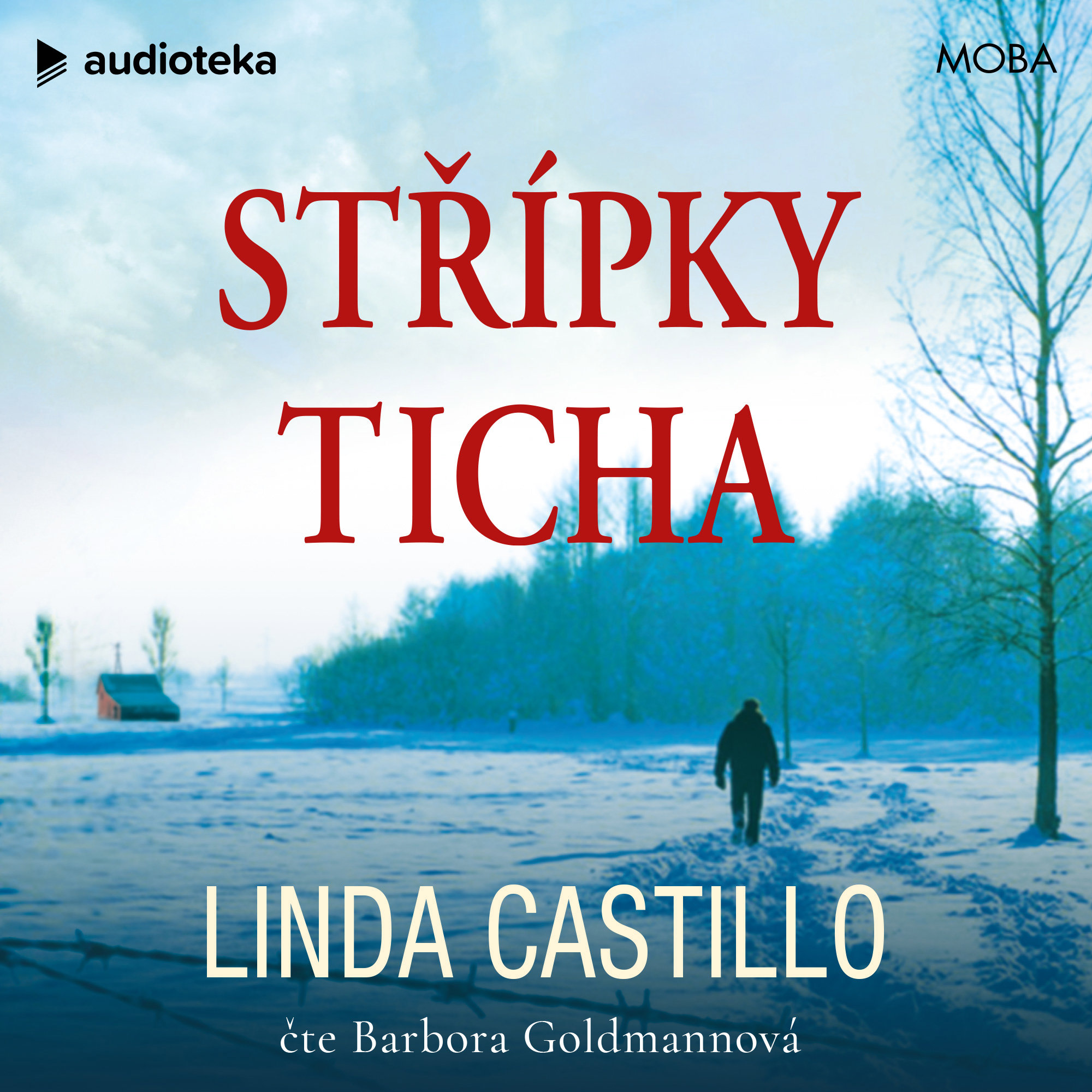 Střípky ticha