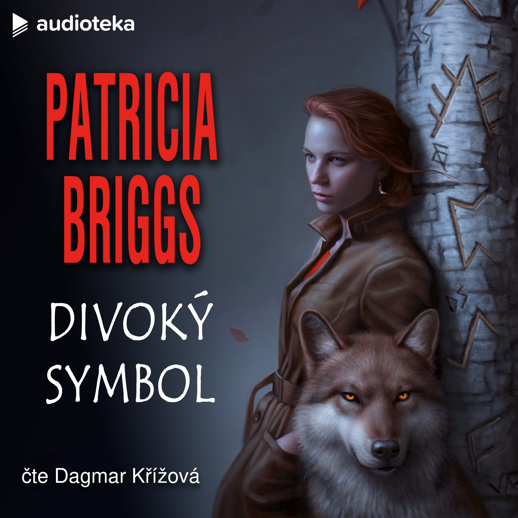 Divoký symbol