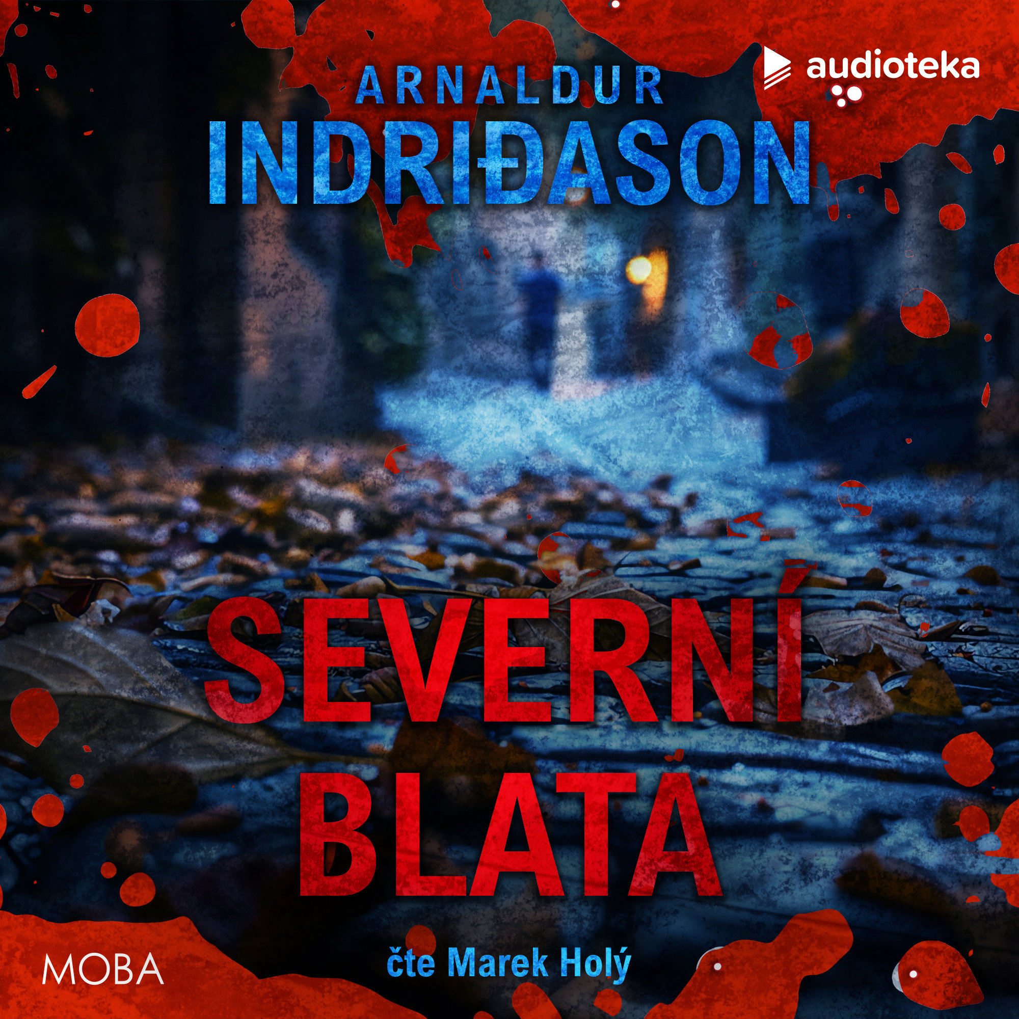 Severní blata