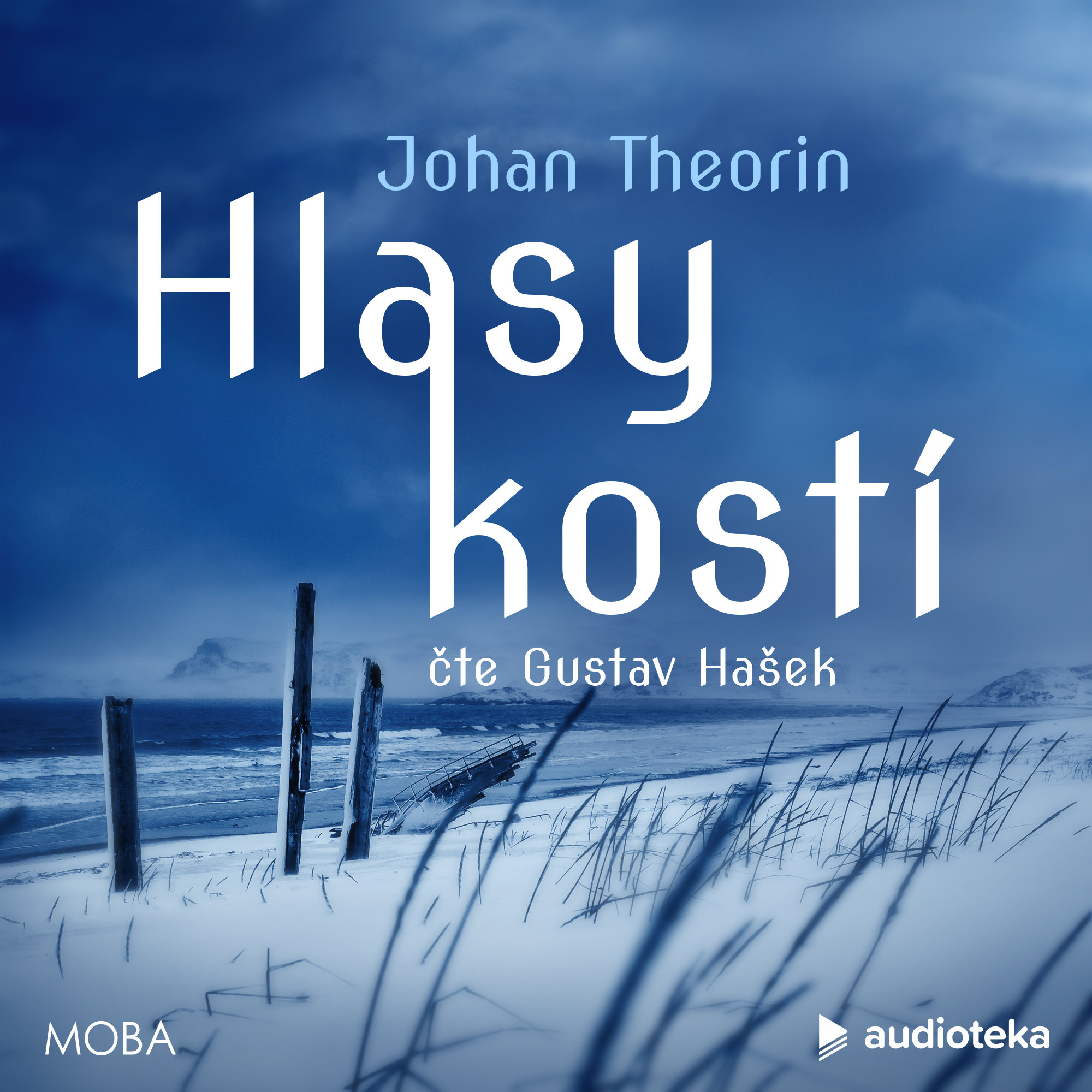 Hlasy kostí