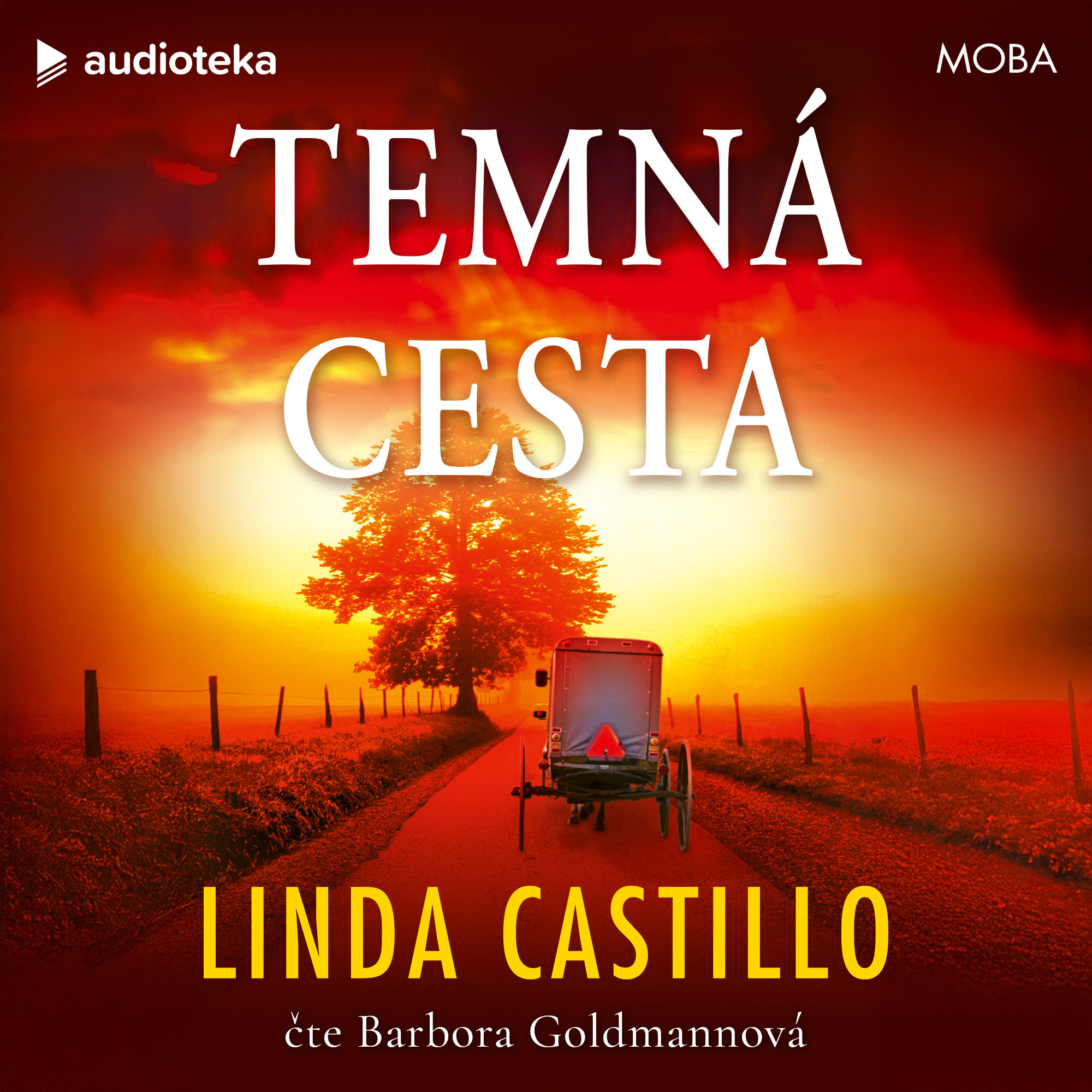 Temná cesta