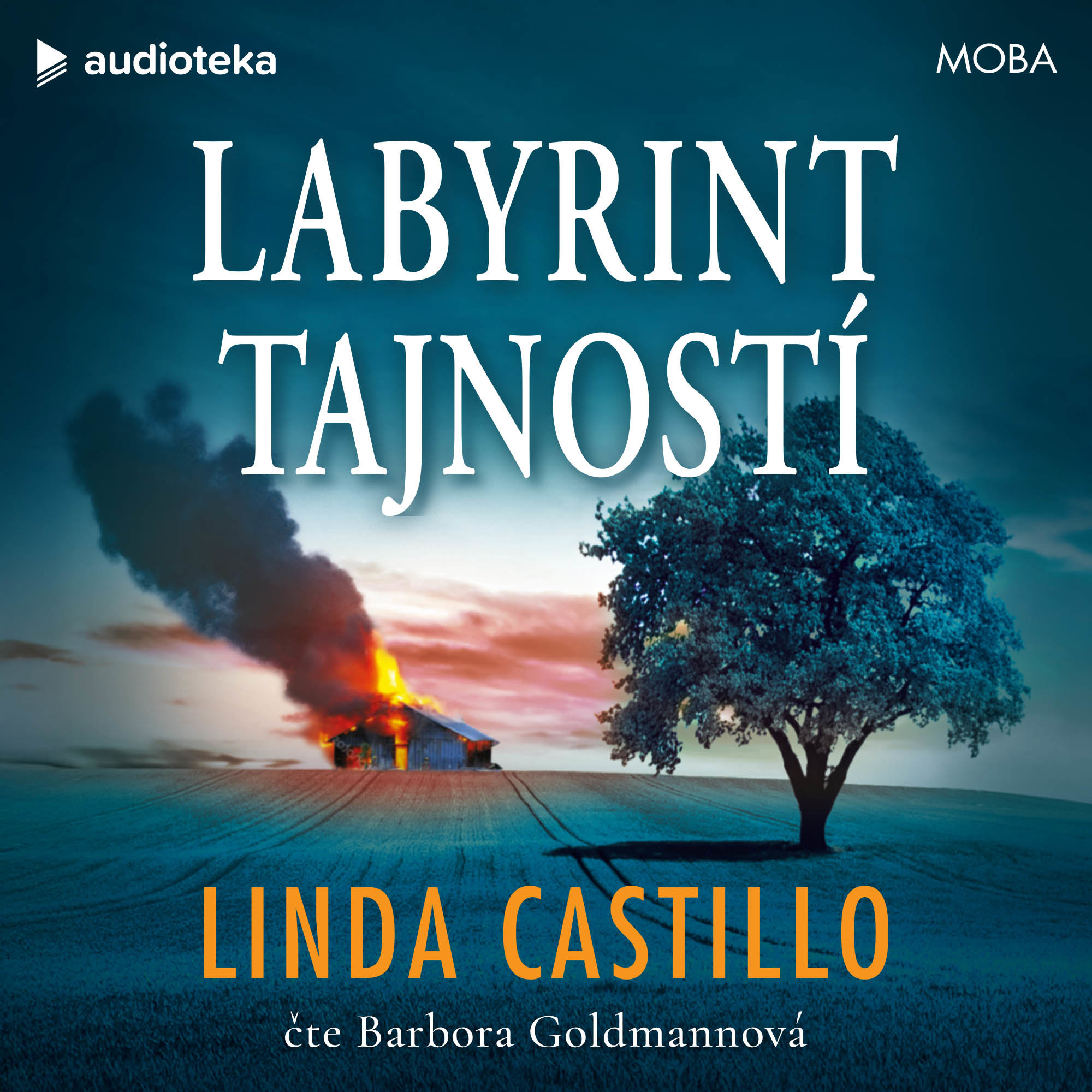Labyrint tajností