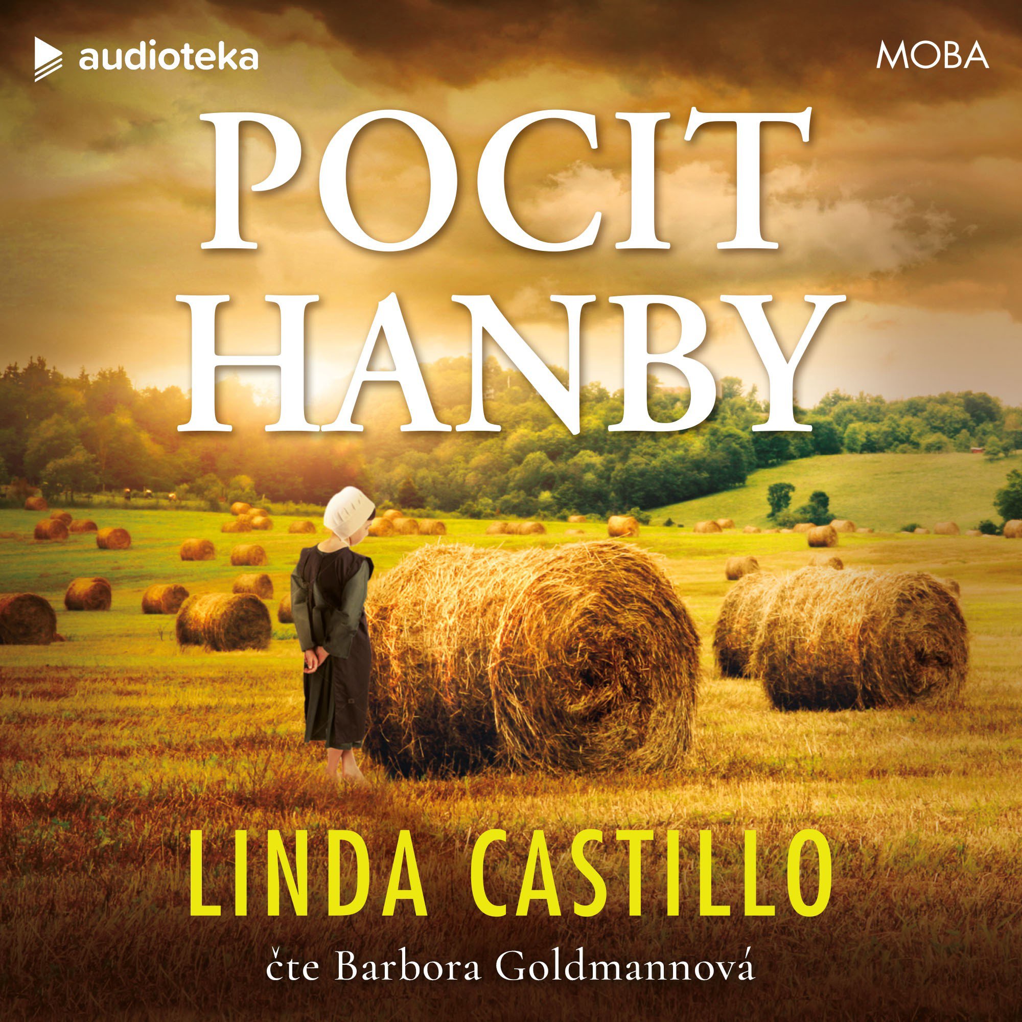 Pocit hanby