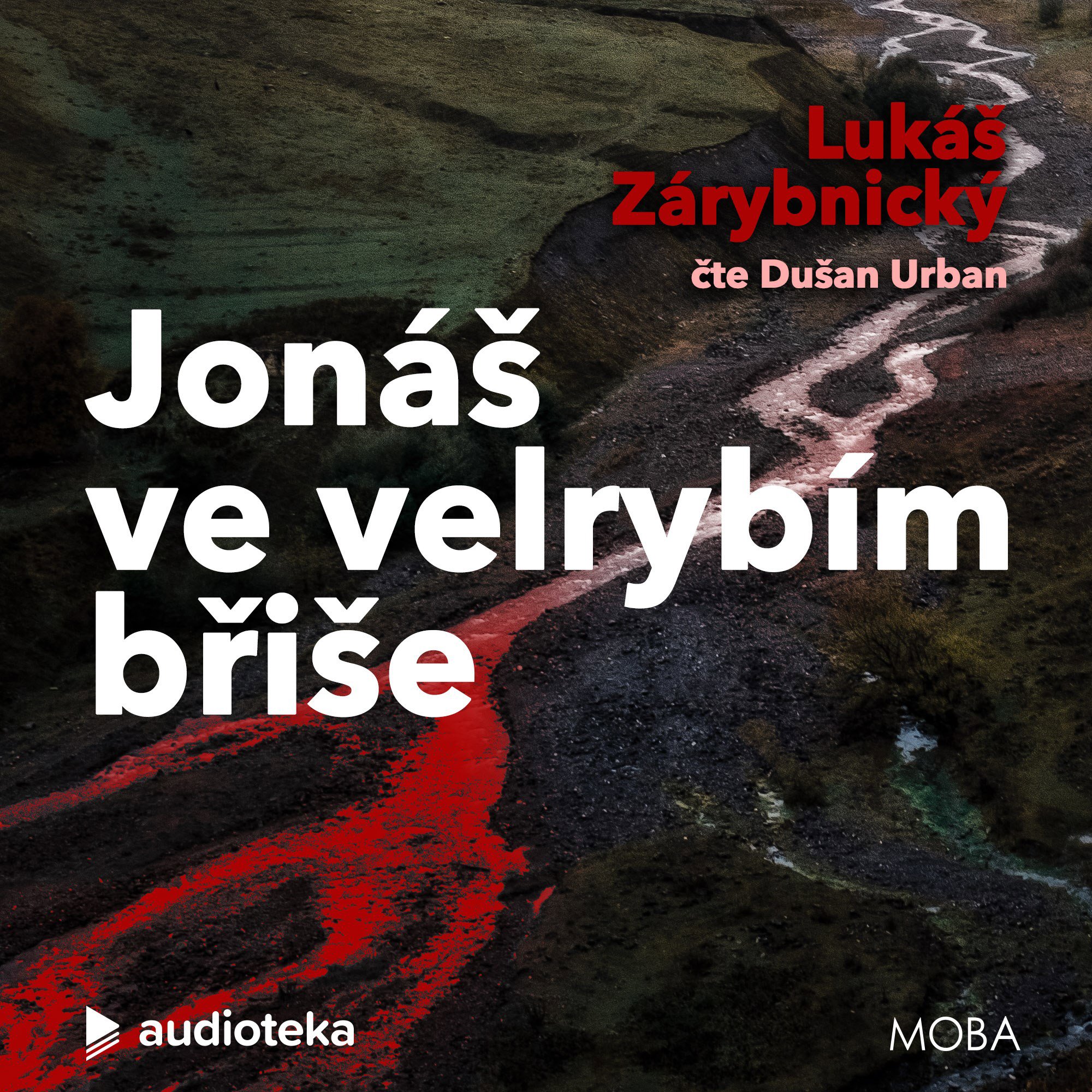 Jonáš ve velrybím břiše