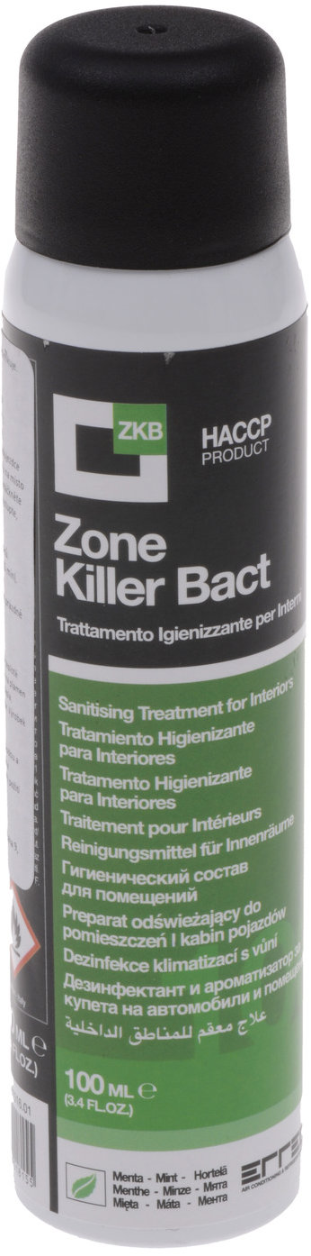ERRECOM čistič klimatizácie a interiéru vozidla, sprej 100 ml, mäta