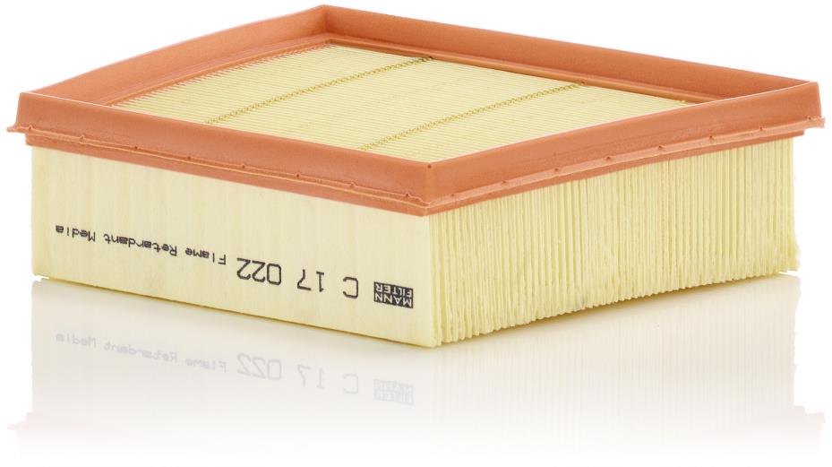 MANN-FILTER C 17 022