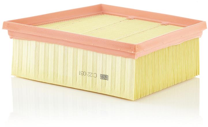 MANN-FILTER C 22 031