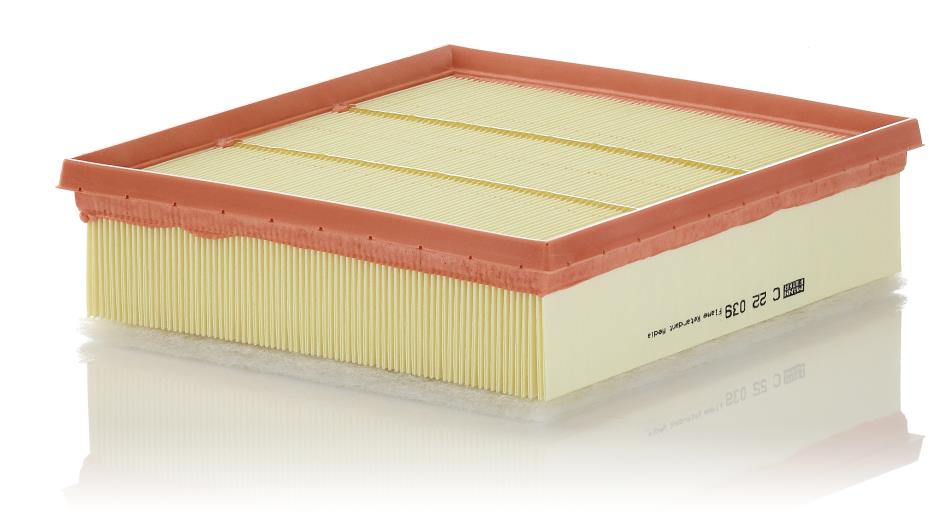 MANN-FILTER C 22 039