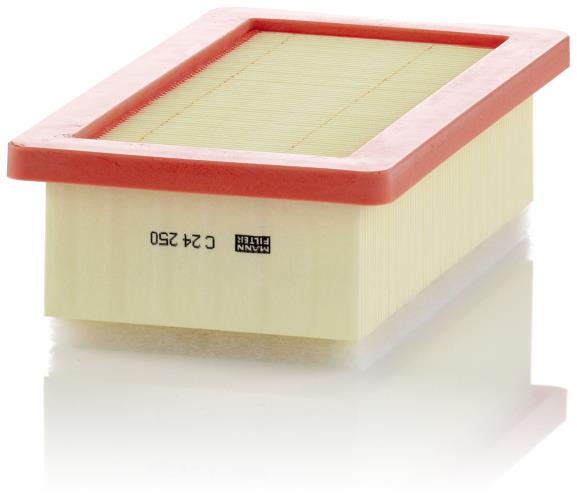 MANN-FILTER C 24 250