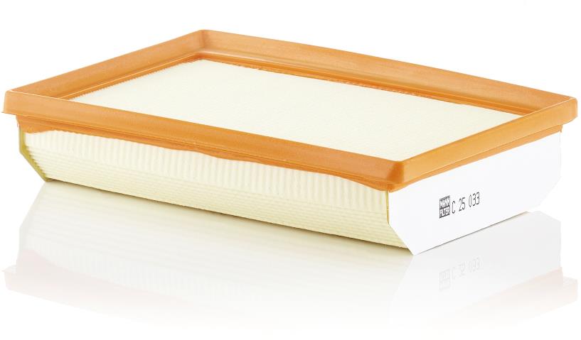 MANN-FILTER C 25 033
