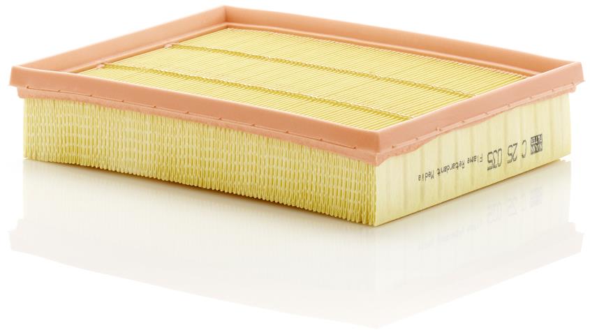 MANN-FILTER C 25 035