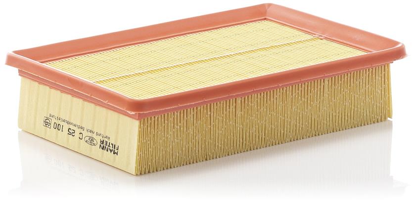 MANN-FILTER C 25 100