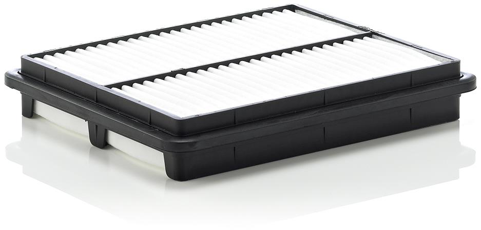 MANN-FILTER C 2537/1