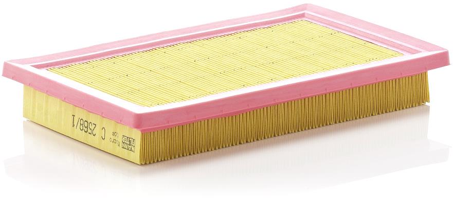 MANN-FILTER C 2568/1
