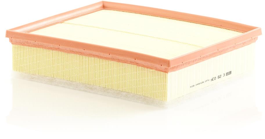 MANN-FILTER C 29 034