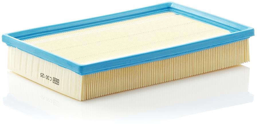 MANN-FILTER C 30 125