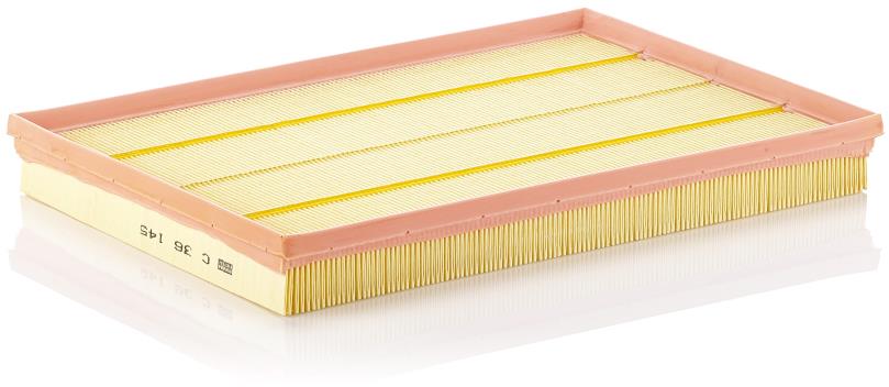 MANN-FILTER C 36 145
