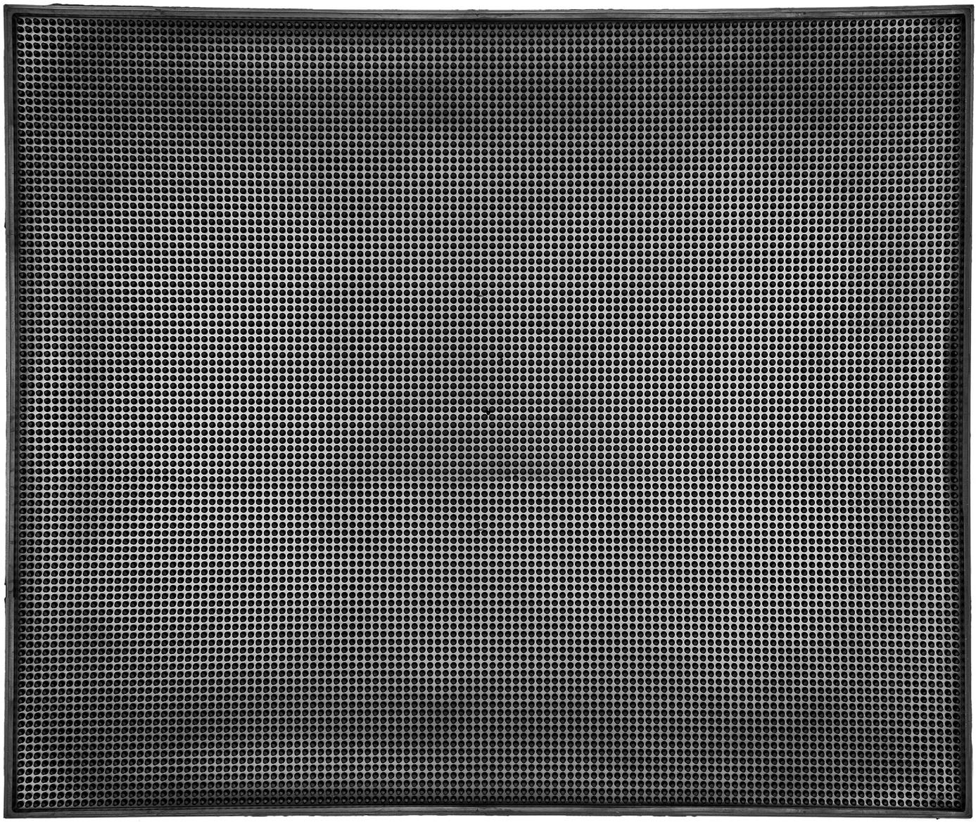 ACI Univerzálna rohožka dezinfekčná 730 × 610 mm