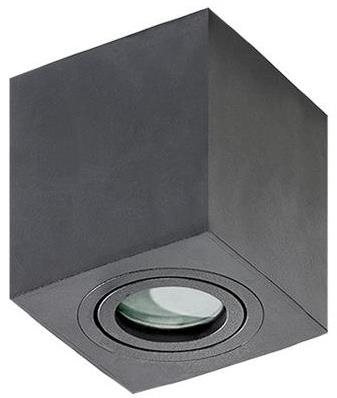 Azzardo AZ2878 – Kúpeľňové stropné svietidlo BRANT 1× GU10/50 W/230 V IP44