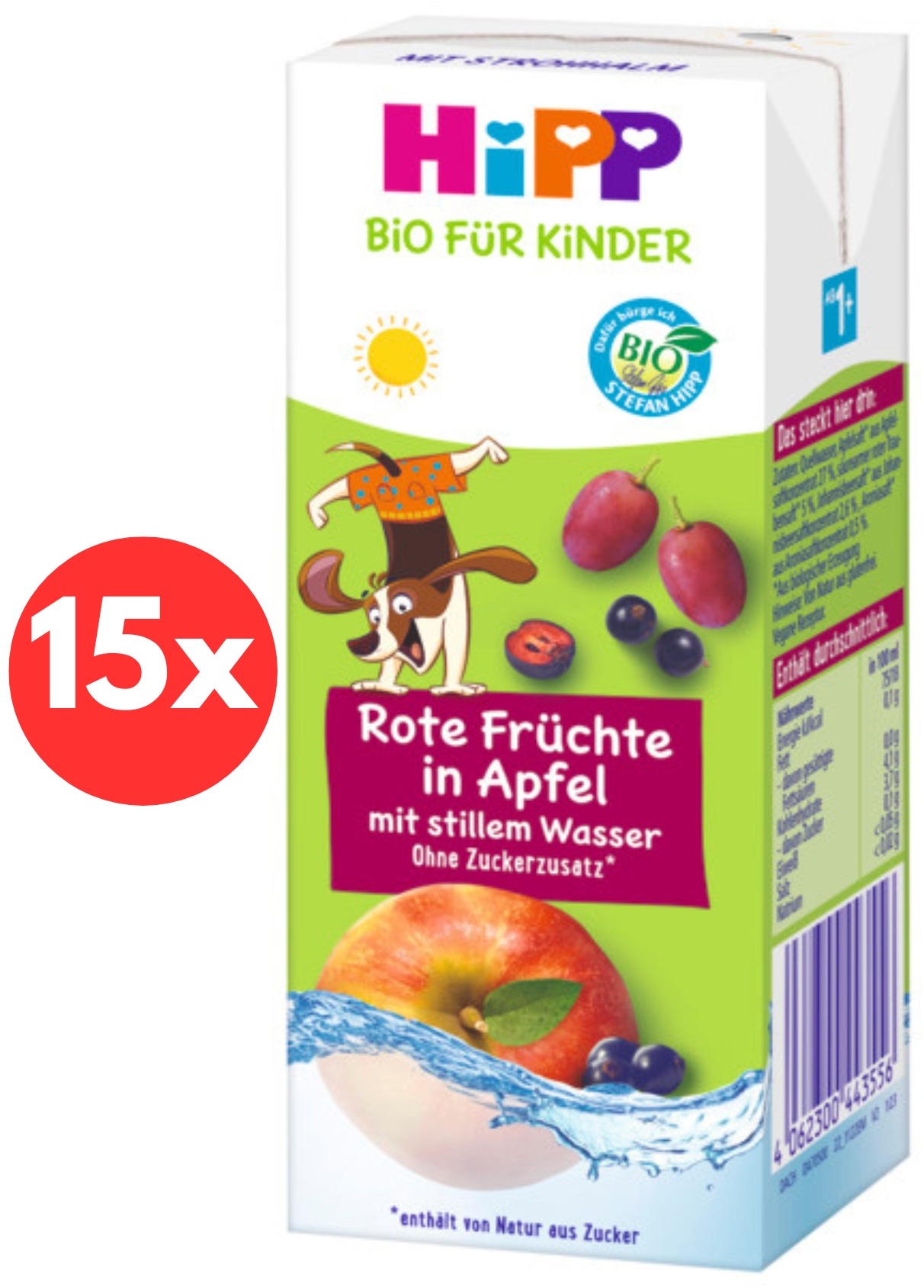 HiPP BIO jemné jablko a ovocie s neperlivou pramenitou vodou 15× 200 ml, 12m+