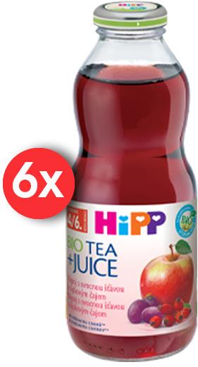 HiPP BIO Nápoj s ovocnou šťavou a šípkovým čajom - 6x 500ml
