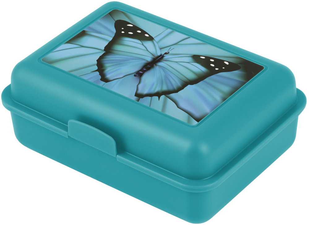 BAAGL Box na desiatu Butterfly