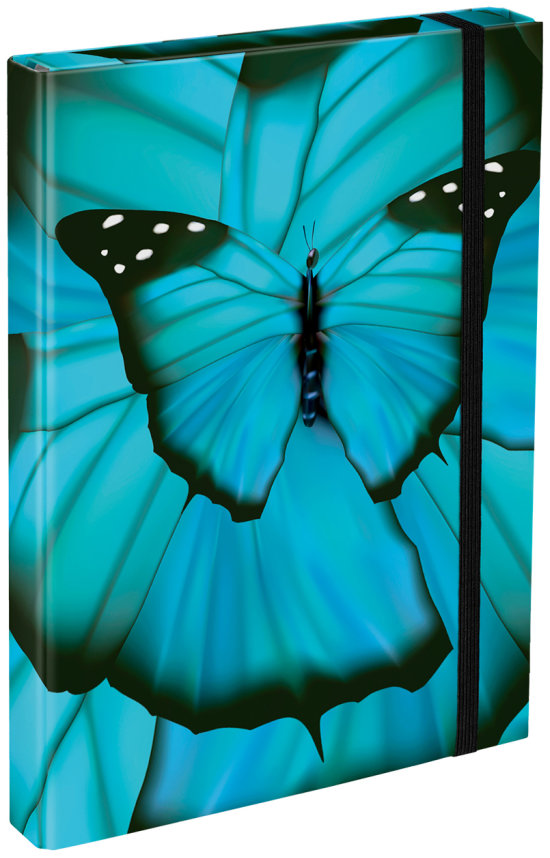 BAAGL Dosky na školské zošity A4 Butterfly
