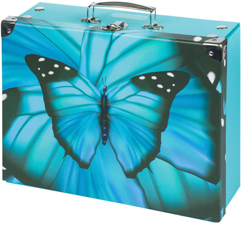 BAAGL Skladací školský kufrík Butterfly s kovaním