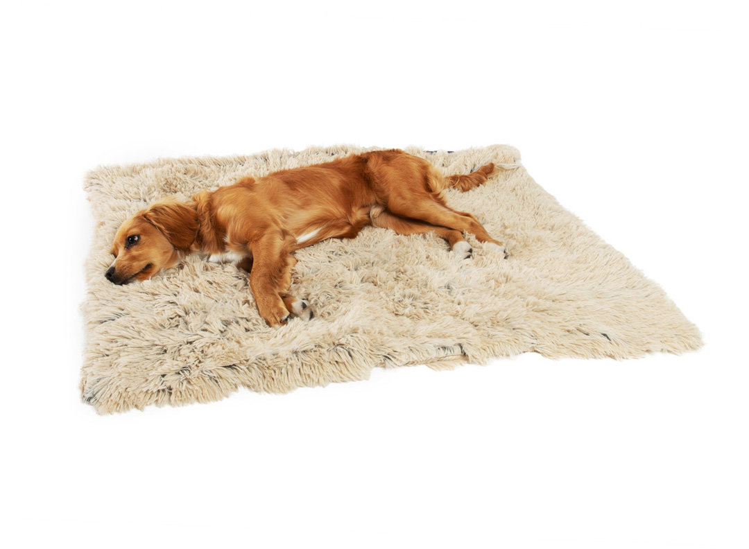 Best Friends by Sheri Original Calming Blanket Taupe 76 × 102 cm