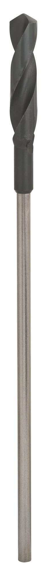 BOSCH Vrták do debnenia a na inštaláciu 20 × 400 mm, d 10 mm 2.608.596.341