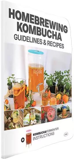 Domácí vaření kombuchy – pokyny a recepty anglicky
