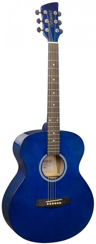 Brunswick GA BF100BL