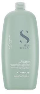 ALFAPARF MILANO Semi Di Lino Scalp Care Energizing Shampoo posilňujúci šampón na rednúce vlasy 1000 ml