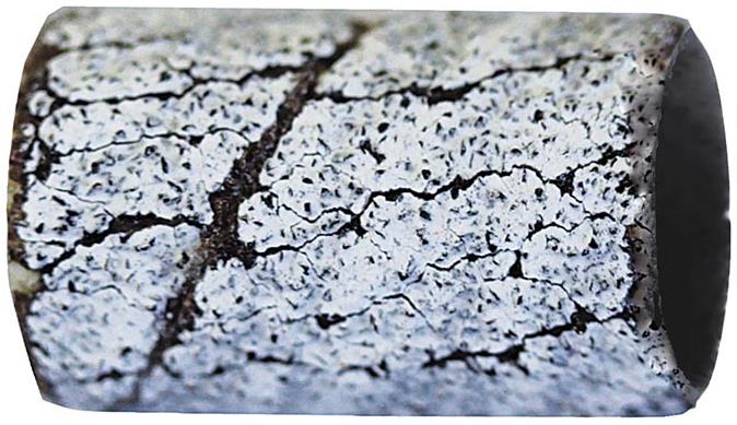 PROMED Brúsny pás ZEBRA č. 198591 stredný, 100 ks