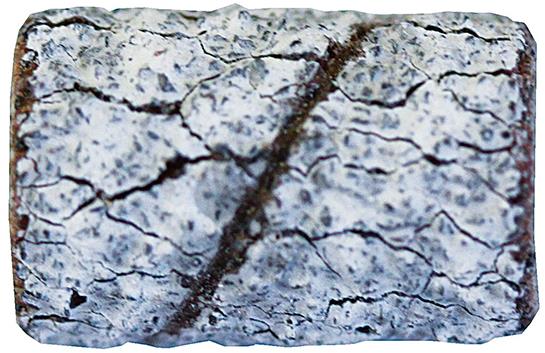 PROMED Brúsny pás ZEBRA č. 198592 hrubý, 100 ks