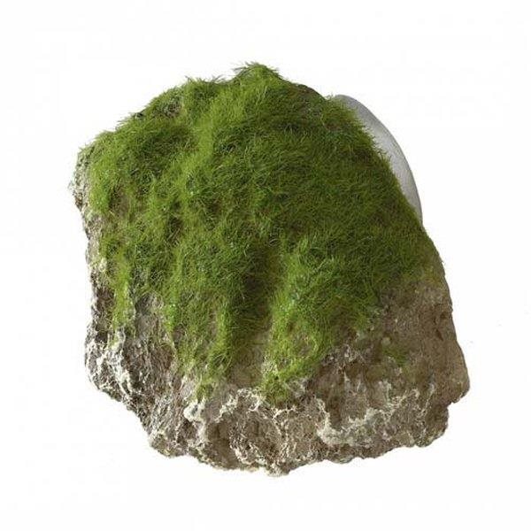 Ebi Aqua Della machom zarastený kameň s prísavkami XS 9 × 6 × 6,5 cm