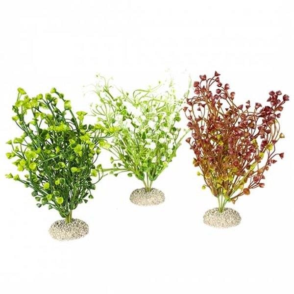 Ebi Aqua Della Bacopa M mix farieb 25 cm 1 ks