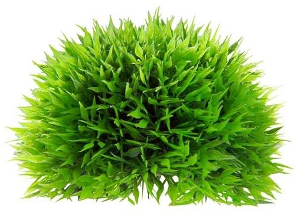 Hobby Plant Ball 18 cm