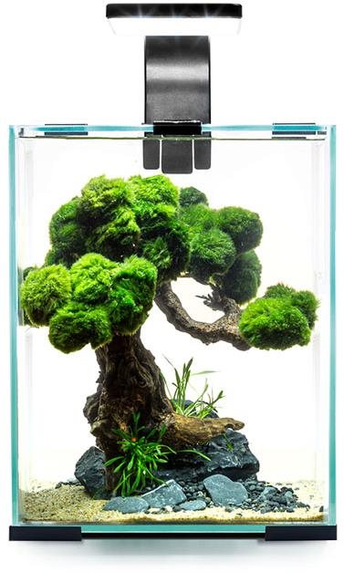 Aquael Shrimp Set Smart 10 Day & Night čierny