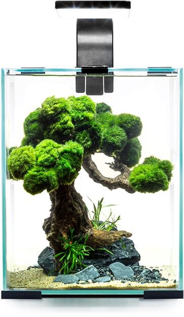 Aquael Shrimp Set Smart 30 Day & Night, čierny