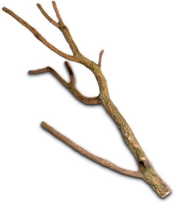 Hobby Cork Branch M 50 – 75 cm