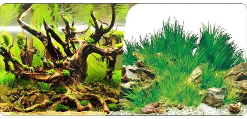 Macenauer Fototapeta 6 L 100 × 50 cm