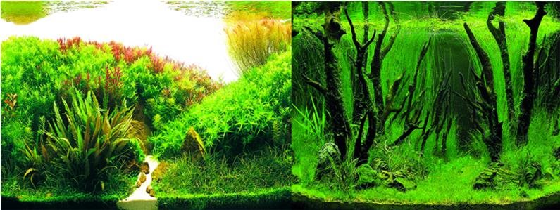 Macenauer fototapeta 3 XL 150 × 60 cm