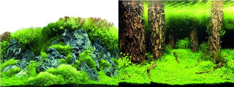 Macenauer fototapeta 4S 60 × 30 cm