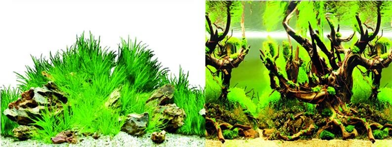 Macenauer fototapeta 6S 60 × 30 cm