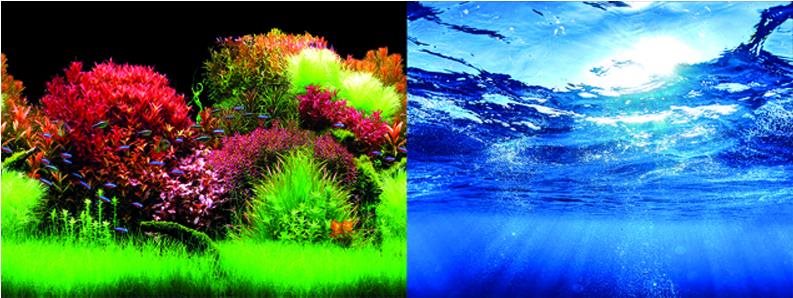 Macenauer fototapeta 7 L 100 × 50 cm