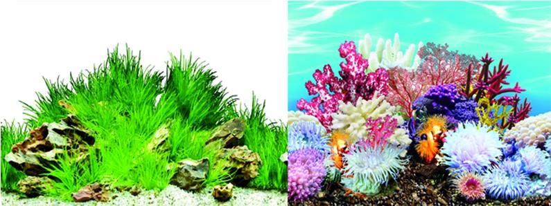 Macenauer fototapeta 8 L 100 × 50 cm