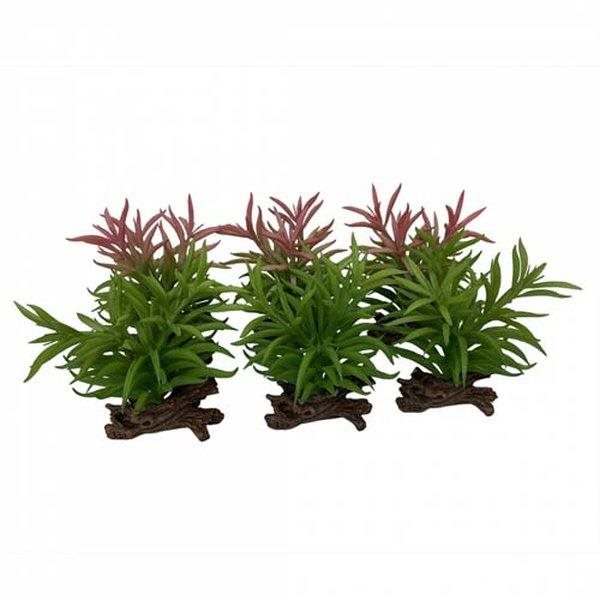 Ebi Terra Della Rastlina umelá Crassula mix farieb 16 cm