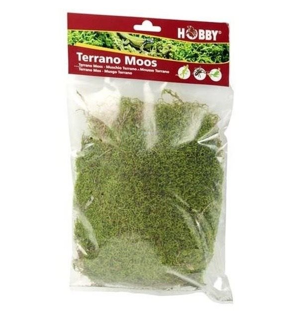 Hobby Terrano natural moss