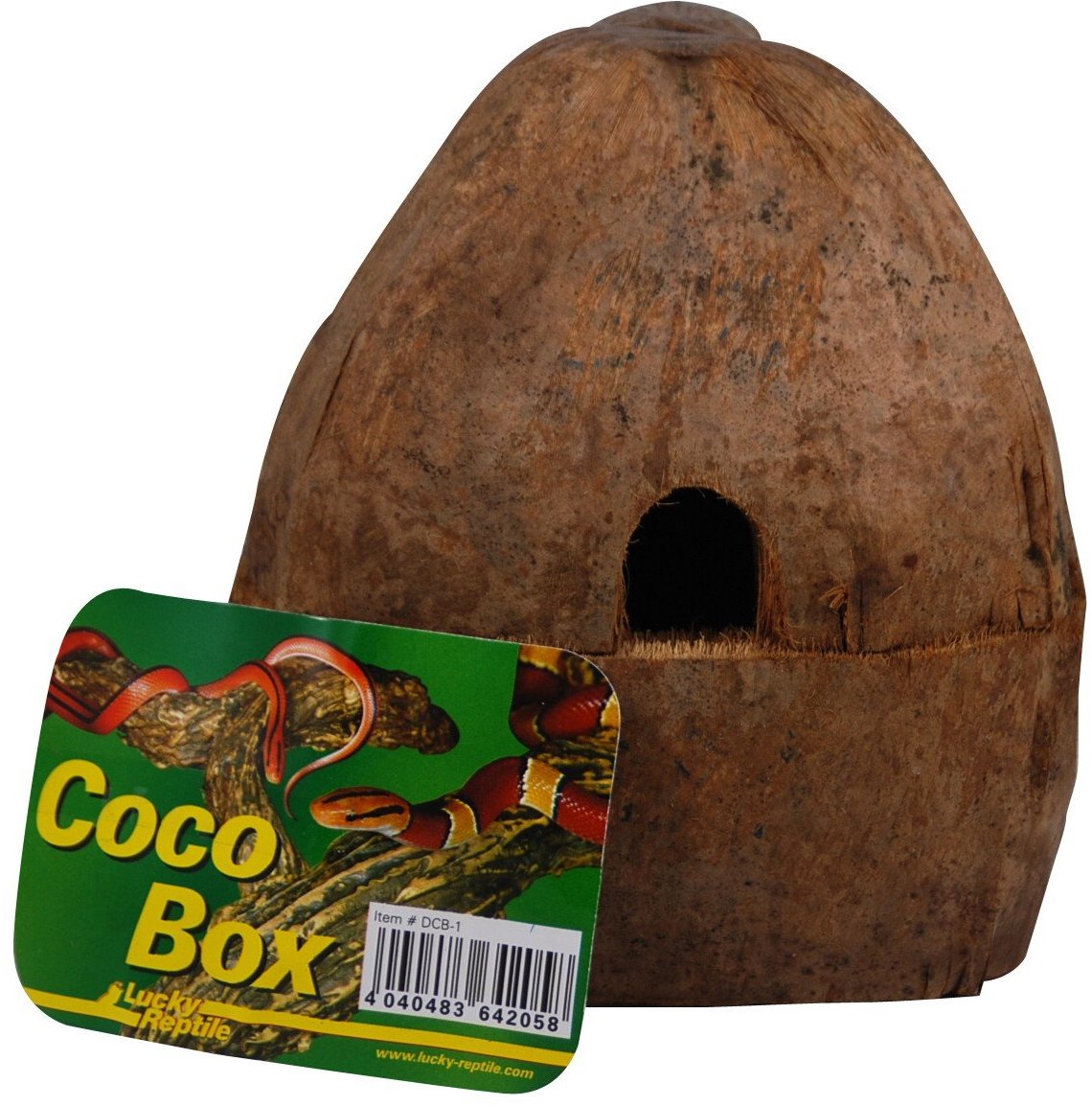 Lucky Reptile Coco Box 15 × 14 × 16 cm